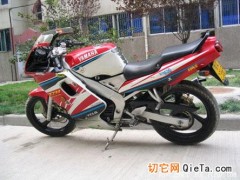 供应【热销】特价雅马哈TZM150 价格2000元